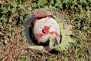 Chewed and destroyed dark green and red old tennis ball with visible rubber filling left in local urban garden by family dog