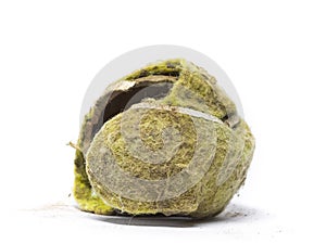 Chewed tennis ball against white background