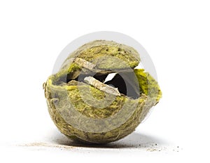 Chewed tennis ball against white background