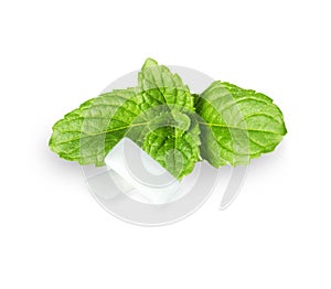 Chewing gum with fresh mint leaves isolated on white background