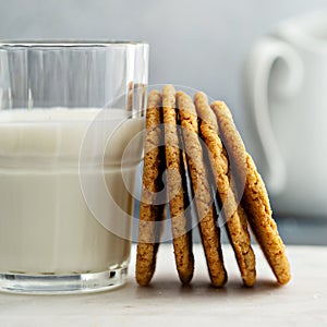 Chewy and thin snickerdoodle or molasses cookies