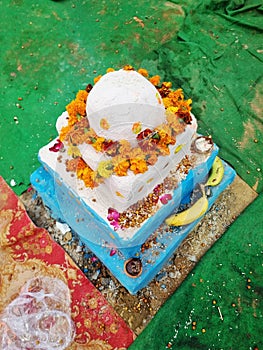 Chhat Pooja | Chhat Pooja flower