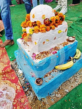 Chhat Pooja | Chhat Pooja flower