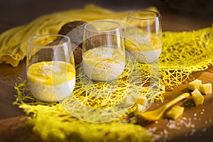 Chia pudding or smoothie with mango puree, coconut milc and coconut chips