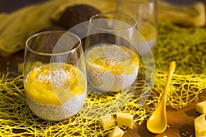 Chia pudding or smoothie with mango puree, coconut milc and coconut chips