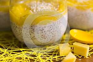 Chia pudding or smoothie with mango puree, coconut milc and coconut chips