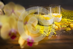 Chia pudding or smoothie with mango puree, coconut milc and coconut chips