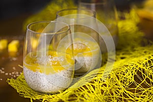 Chia pudding or smoothie with mango puree, coconut milc and coconut chips