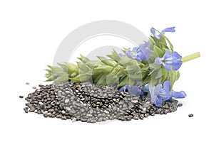 Chia Salvia hispanica Pile of seeds with flowers on white back