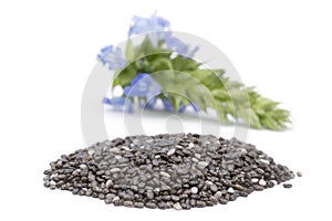 Chia Salvia hispanica Pile of seeds with flowers on white back