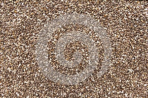 Chia Seed. Closeup of grains, background use.