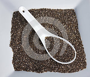 Chia Seeds