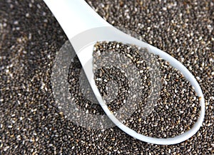 Chia Seeds