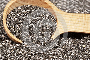 Chia Seeds