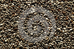 Chia seeds background