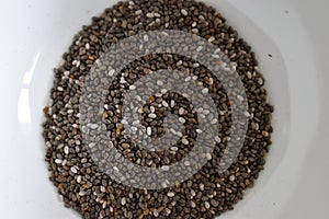 Chia seeds - can be used as a background