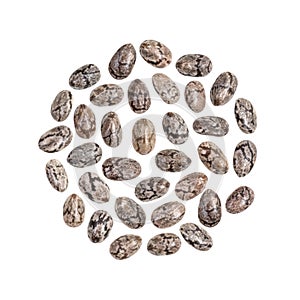 Chia seeds in circular shape