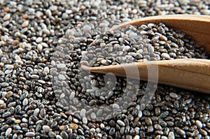 Chia seeds crop