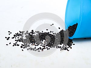 Chia Seeds or Kama Kasturi Seed Scattered from Blue Color Plastic Container  on White Background