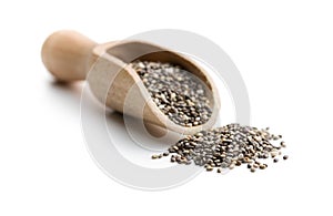 Chia seeds in scoop