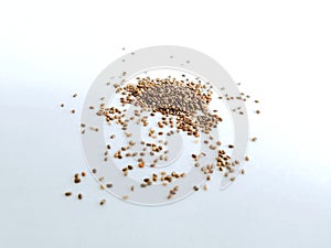 Chia Seeds are the tiny seeds of the Salvia Hispanics plant photo