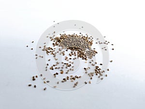 Chia Seeds are the tiny seeds of the Salvia Hispanics plant