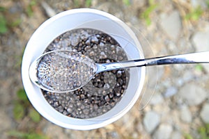 Chia Seeds in Water