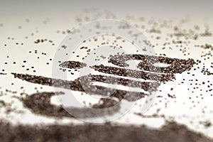 Chia word made from chia seeds Salvia hispanica on white background.