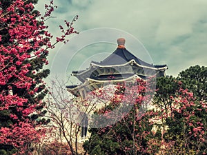 Chiang Kai-shek Memorial Hall with cherry tree blossom at Taipei