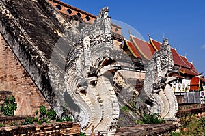 Chiang Mai TH: Two Stone Naga Dragons