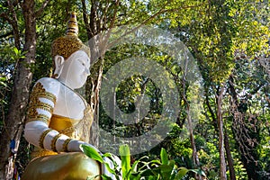 CHIANG MAI THAILAND-12 JANUARY 2020:Wat Phra That Doi Suthep temple,Tourists walking up and down stairs in tourism.Stairway There