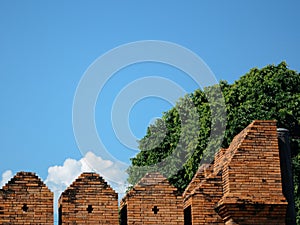 Chiang Mai, Thailand, Southeast Asia - Blue clear sky with green leafy tree and brick fortress wall