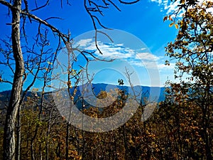 Chiangmai, Thailand countryside, forest.