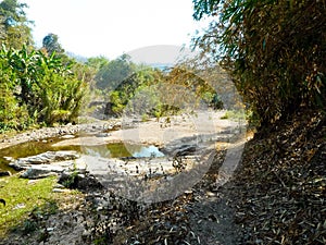 Chiangmai, Thailand countryside, forest.