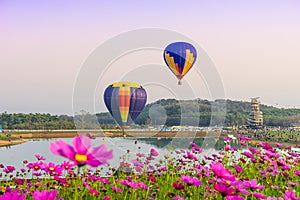 CHIANGRAI, THAILAND - November 02, 2016 : Hot air Balloons ready to rise into the sky in the sunset at SINGHA PARK CHIANGRAI