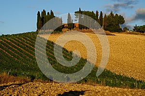 Chianti Landscape