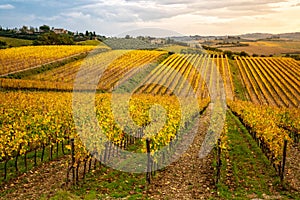 Chianti Region, Tuscany, Italy. Vineyards in autumn