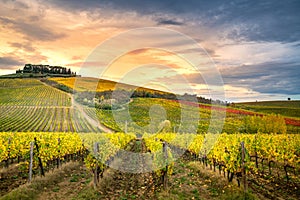 Chianti Region, Tuscany, Italy. Vineyards in autumn photo