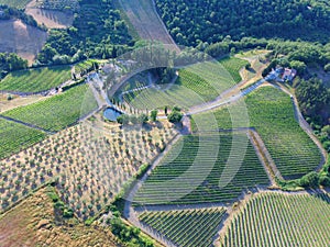 Chianti shine drone view