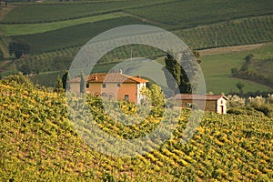 Chianti, Tuscany, Italy