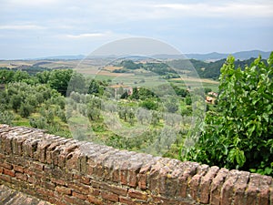 Chianti Tuscany vineyards