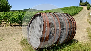 Chianti wine barrel on a Wineyard in Tuscany