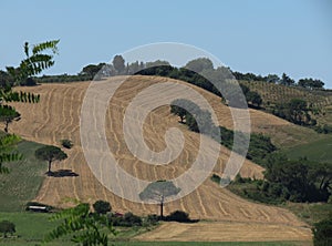 Chiantishire hills landscape