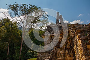 Chiapas, Mexico. Palenque the code name of the ruins of a large Mayan city in the northeast of the Mexican state of Chiapas.