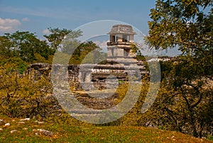 Chiapas, Mexico. Palenque the code name of the ruins of a large Mayan city in the northeast of the Mexican state of Chiapas.