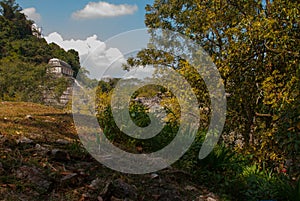 Chiapas, Mexico. Palenque the code name of the ruins of a large Mayan city in the northeast of the Mexican state of Chiapas.