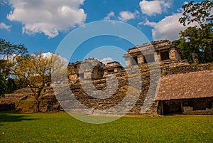 Chiapas, Mexico. Palenque. The ruins of the great city of Maya in the North-East of the Mexican state of Chiapas