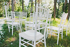 Chiavari chairs on grass