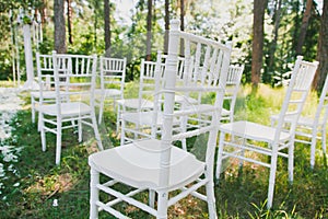 Chiavari chairs on grass photo