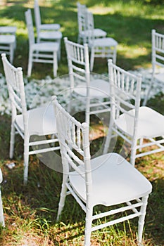 Chiavari chairs on grass